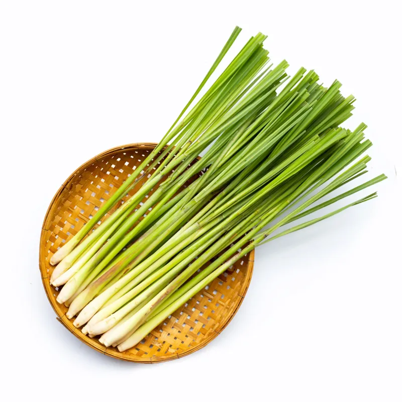 Lemongrass essential oil